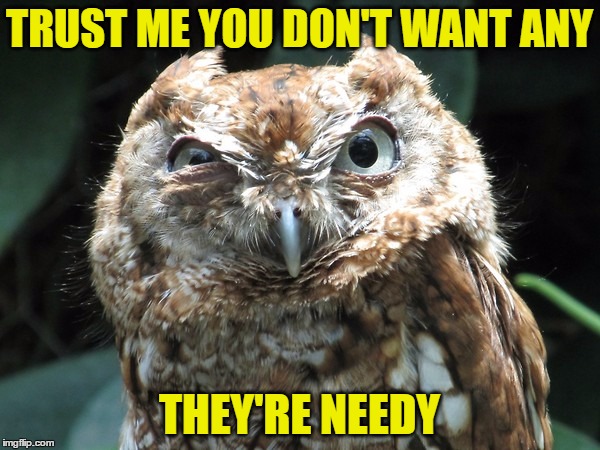 TRUST ME YOU DON'T WANT ANY THEY'RE NEEDY | image tagged in ornery owl | made w/ Imgflip meme maker