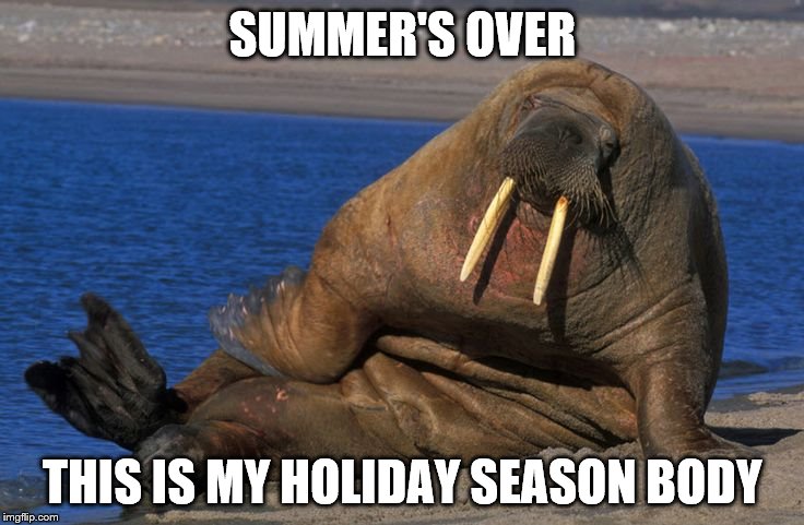 beach body | SUMMER'S OVER; THIS IS MY HOLIDAY SEASON BODY | image tagged in beach body | made w/ Imgflip meme maker