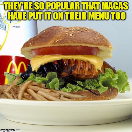 THEY'RE SO POPULAR THAT MACAS HAVE PUT IT ON THEIR MENU TOO | made w/ Imgflip meme maker