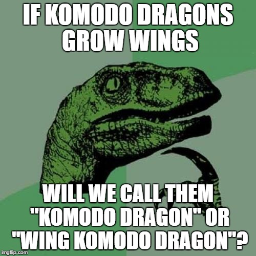 Philosoraptor Meme | IF KOMODO DRAGONS GROW WINGS; WILL WE CALL THEM "KOMODO DRAGON" OR "WING KOMODO DRAGON"? | image tagged in memes,philosoraptor | made w/ Imgflip meme maker