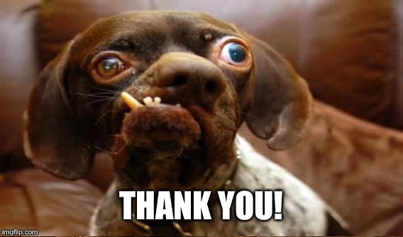 THANK YOU! | made w/ Imgflip meme maker