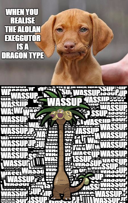 WHEN YOU REALISE THE ALOLAN EXEGGUTOR IS A DRAGON TYPE; WASSUP | image tagged in dissapointed puppy | made w/ Imgflip meme maker