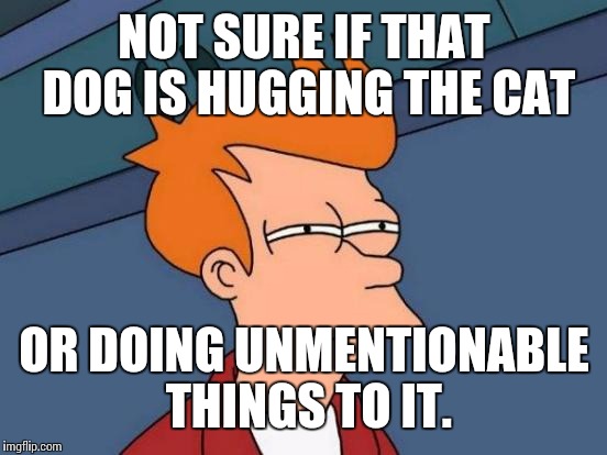 Futurama Fry Meme | NOT SURE IF THAT DOG IS HUGGING THE CAT OR DOING UNMENTIONABLE THINGS TO IT. | image tagged in memes,futurama fry | made w/ Imgflip meme maker