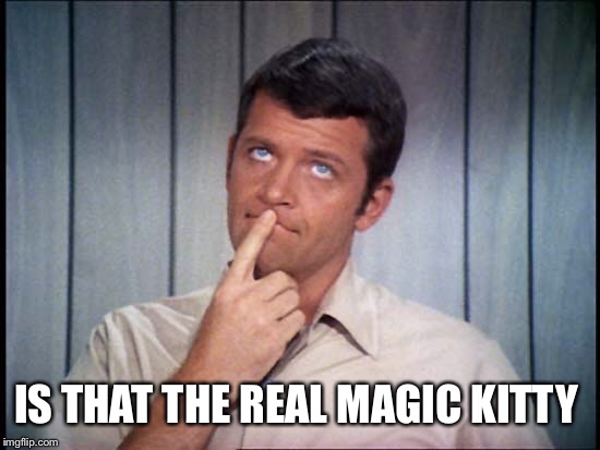 IS THAT THE REAL MAGIC KITTY | made w/ Imgflip meme maker