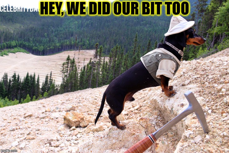 HEY, WE DID OUR BIT TOO | made w/ Imgflip meme maker