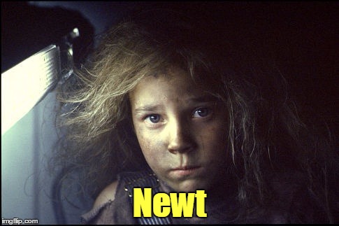 Newt | made w/ Imgflip meme maker