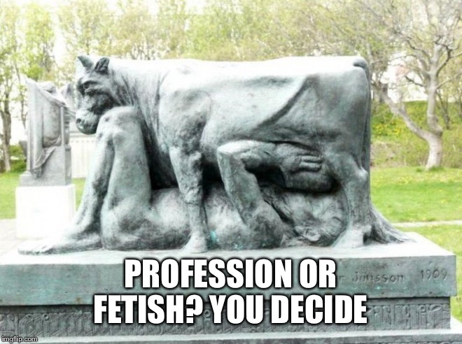 PROFESSION OR FETISH? YOU DECIDE | made w/ Imgflip meme maker