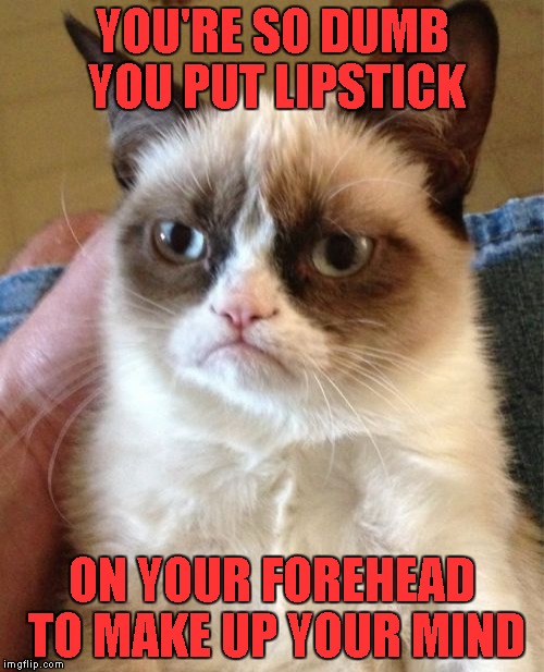 Grumpy Cat Meme | YOU'RE SO DUMB YOU PUT LIPSTICK; ON YOUR FOREHEAD TO MAKE UP YOUR MIND | image tagged in memes,grumpy cat,dumb meme weekend,dumb meme,funny | made w/ Imgflip meme maker