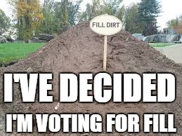 I'VE DECIDED; I'M VOTING FOR FILL | image tagged in vote | made w/ Imgflip meme maker