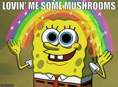 Imagination Spongebob | LOVIN' ME SOME MUSHROOMS | image tagged in memes,imagination spongebob | made w/ Imgflip meme maker