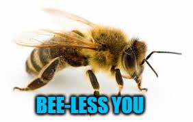 BEE-LESS YOU | made w/ Imgflip meme maker