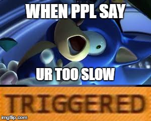 Gotta Go Fast | WHEN PPL SAY; UR TOO SLOW | image tagged in sonic the hedgehog,sonic,sonic derp,triggered,you're too slow,urtooslow | made w/ Imgflip meme maker