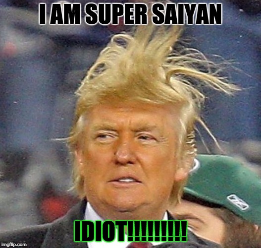 Donald Trump Hair | I AM SUPER SAIYAN; IDIOT!!!!!!!!! | image tagged in donald trump hair | made w/ Imgflip meme maker
