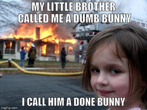 they warned us about sticks and stones...  | MY LITTLE BROTHER CALLED ME A DUMB BUNNY; I CALL HIM A DONE BUNNY | image tagged in memes,disaster girl,dumb meme weekend | made w/ Imgflip meme maker