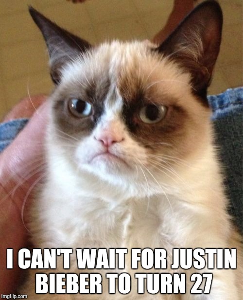 Grumpy Cat | I CAN'T WAIT FOR JUSTIN BIEBER TO TURN 27 | image tagged in memes,grumpy cat | made w/ Imgflip meme maker