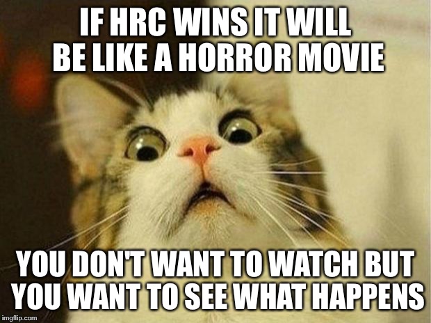 Scared Cat | IF HRC WINS IT WILL BE LIKE A HORROR MOVIE; YOU DON'T WANT TO WATCH BUT YOU WANT TO SEE WHAT HAPPENS | image tagged in memes,scared cat | made w/ Imgflip meme maker