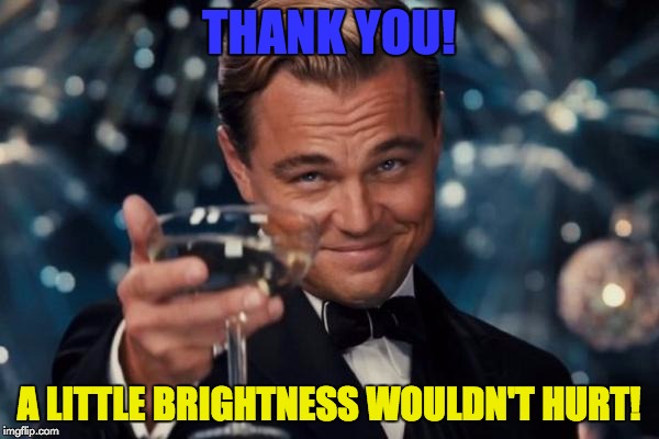Leonardo Dicaprio Cheers Meme | THANK YOU! A LITTLE BRIGHTNESS WOULDN'T HURT! | image tagged in memes,leonardo dicaprio cheers | made w/ Imgflip meme maker