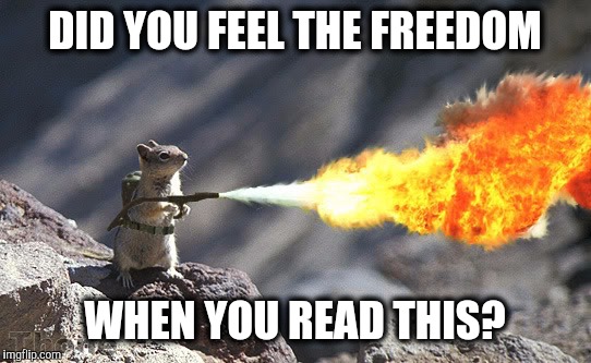 DID YOU FEEL THE FREEDOM WHEN YOU READ THIS? | made w/ Imgflip meme maker
