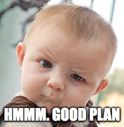 Skeptical Baby Meme | HMMM. GOOD PLAN | image tagged in memes,skeptical baby | made w/ Imgflip meme maker