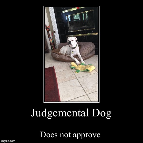 image tagged in funny,demotivationals | made w/ Imgflip demotivational maker