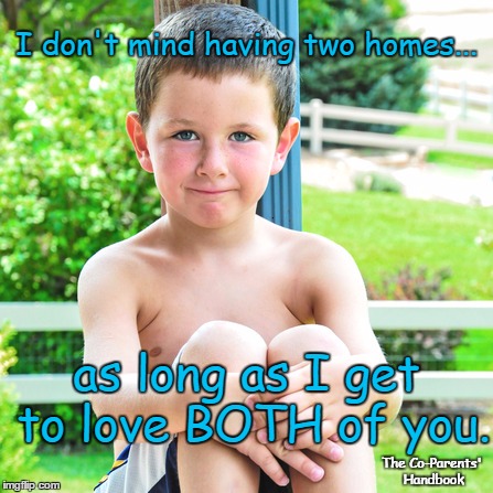 I don't mind having two homes... as long as I get to love BOTH of you. The Co-Parents' Handbook | image tagged in divorce,parenting | made w/ Imgflip meme maker