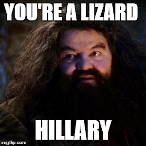 You're a wizard harry | YOU'RE A LIZARD; HILLARY | image tagged in you're a wizard harry | made w/ Imgflip meme maker