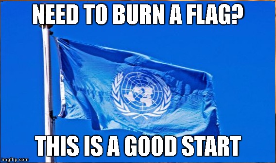 tyranny's symbol | NEED TO BURN A FLAG? THIS IS A GOOD START | image tagged in tyranny | made w/ Imgflip meme maker