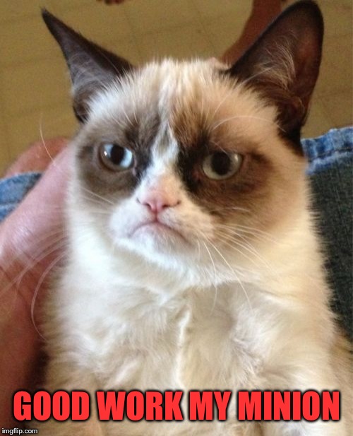 Grumpy Cat Meme | GOOD WORK MY MINION | image tagged in memes,grumpy cat | made w/ Imgflip meme maker
