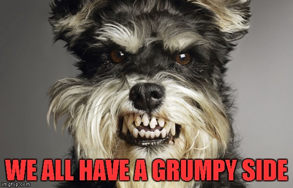 WE ALL HAVE A GRUMPY SIDE | made w/ Imgflip meme maker