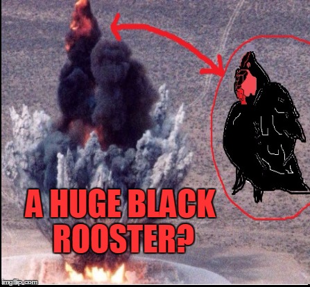 A HUGE BLACK ROOSTER? | made w/ Imgflip meme maker