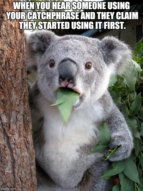 Surprised Koala Meme | WHEN YOU HEAR SOMEONE USING YOUR CATCHPHRASE AND THEY CLAIM THEY STARTED USING IT FIRST. | image tagged in memes,surprised koala | made w/ Imgflip meme maker