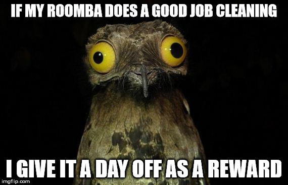 Weird Stuff I Do Potoo Meme | IF MY ROOMBA DOES A GOOD JOB CLEANING; I GIVE IT A DAY OFF AS A REWARD | image tagged in memes,weird stuff i do potoo | made w/ Imgflip meme maker