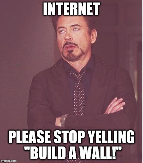 Face You Make Robert Downey Jr | INTERNET; PLEASE STOP YELLING "BUILD A WALL!" | image tagged in memes,face you make robert downey jr | made w/ Imgflip meme maker