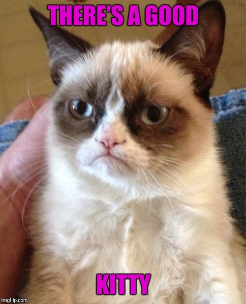 Grumpy Cat Meme | THERE'S A GOOD KITTY | image tagged in memes,grumpy cat | made w/ Imgflip meme maker