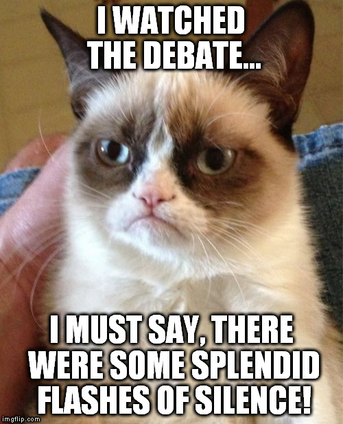 Grumpy Cat | I WATCHED THE DEBATE... I MUST SAY, THERE WERE SOME SPLENDID FLASHES OF SILENCE! | image tagged in memes,grumpy cat,election 2016 | made w/ Imgflip meme maker