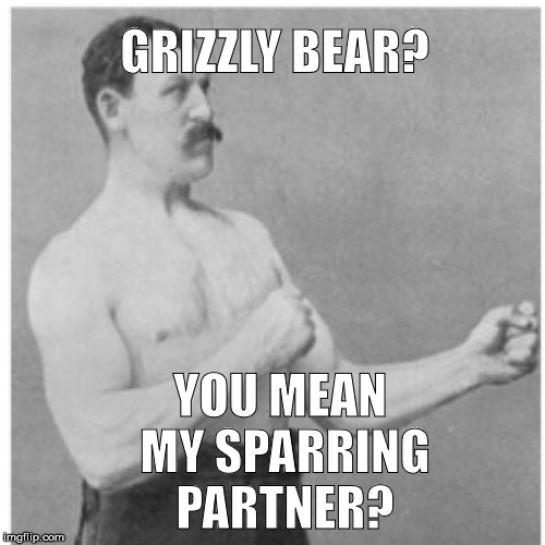 Overly Manly Man Meme | GRIZZLY BEAR? YOU MEAN MY SPARRING PARTNER? | image tagged in memes,overly manly man | made w/ Imgflip meme maker