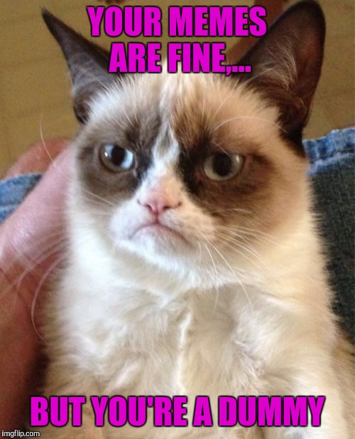 Dumb meme weekend, almost over? | YOUR MEMES ARE FINE,... BUT YOU'RE A DUMMY | image tagged in grumpy cat,dumb meme weekend,dumb meme week,sewmyeyesshut,funny memes | made w/ Imgflip meme maker