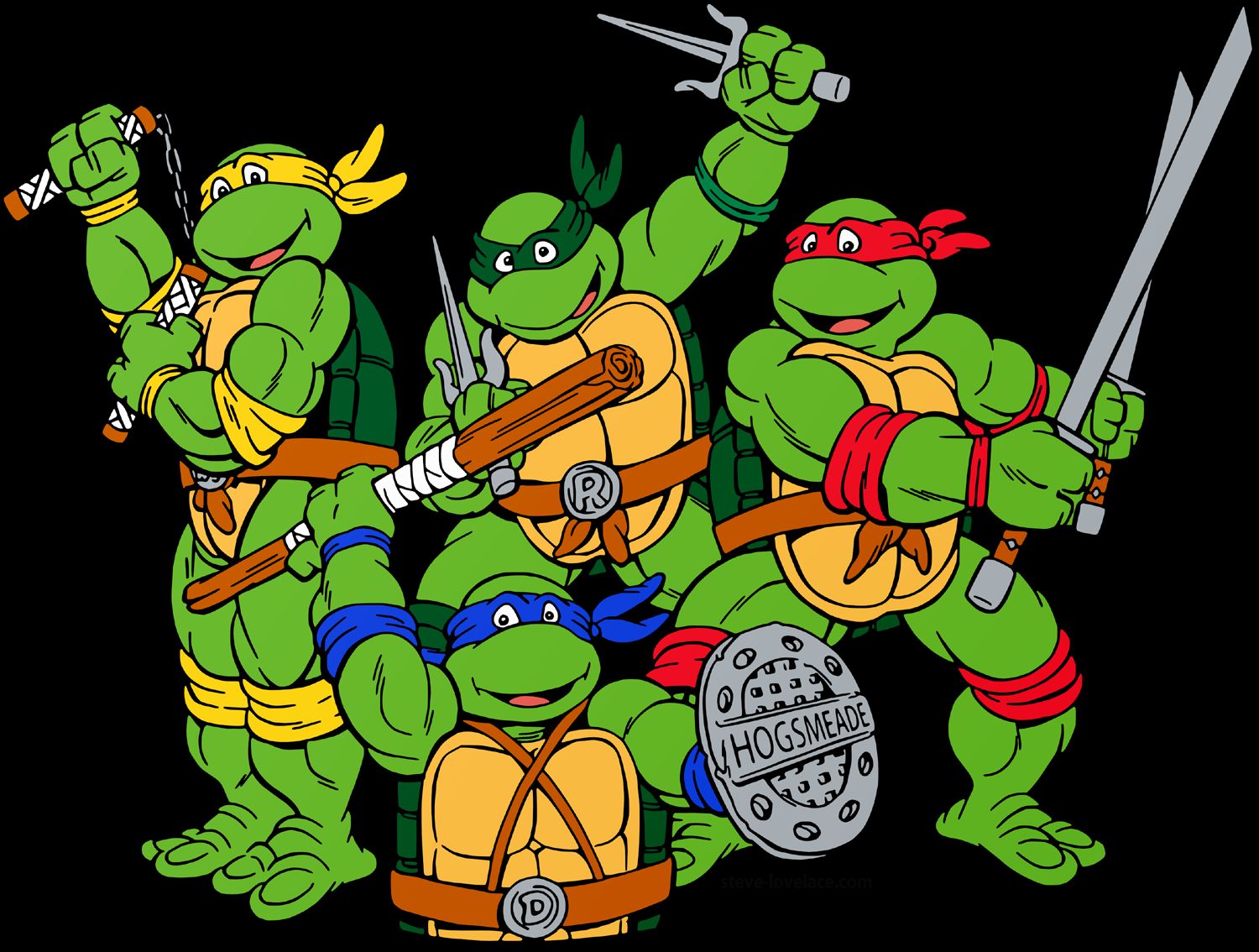 Ninja turtles Blank Meme Template