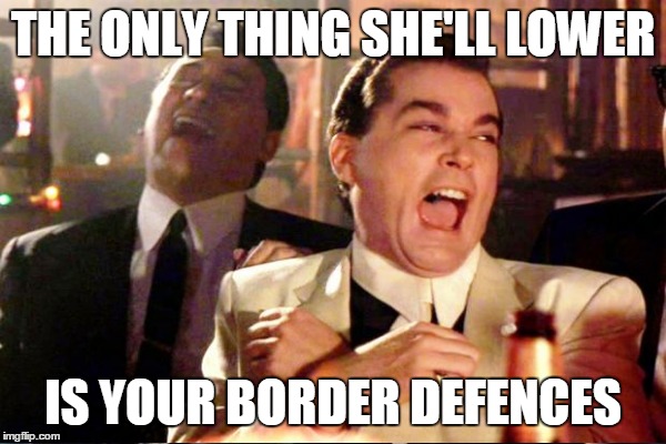 THE ONLY THING SHE'LL LOWER IS YOUR BORDER DEFENCES | made w/ Imgflip meme maker