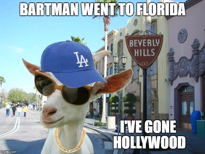 Cub's curse livin' the dream in L.A. | BARTMAN WENT TO FLORIDA; I'VE GONE HOLLYWOOD | image tagged in chicago cubs,cubs,goat,dodgers,curse,world series | made w/ Imgflip meme maker
