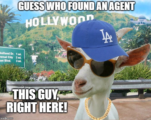 Cubs Goat Gets Agent, Turns Dodgers Fan | GUESS WHO FOUND AN AGENT; THIS GUY, RIGHT HERE! | image tagged in chicago cubs,cubs,goat,curse,dodgers,world series | made w/ Imgflip meme maker