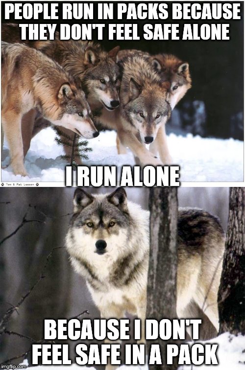 Just saying | PEOPLE RUN IN PACKS BECAUSE THEY DON'T FEEL SAFE ALONE; I RUN ALONE; BECAUSE I DON'T FEEL SAFE IN A PACK | image tagged in wolf,people | made w/ Imgflip meme maker