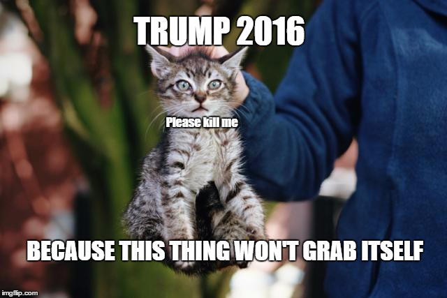Grab them by the pussy | TRUMP 2016; Please kill me; BECAUSE THIS THING WON'T GRAB ITSELF | image tagged in trump,pussy,election 2016,donald trump,political humor,grab them by the pussy | made w/ Imgflip meme maker