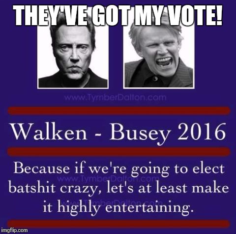 THEY'VE GOT MY VOTE! | image tagged in walken-busey | made w/ Imgflip meme maker