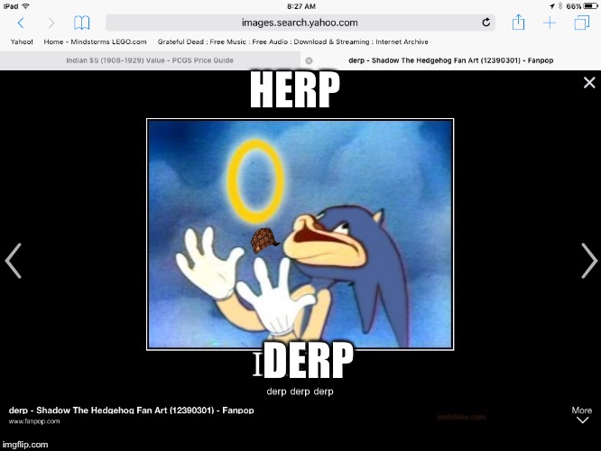 Derp | HERP; DERP | image tagged in shadow the hedgehog | made w/ Imgflip meme maker