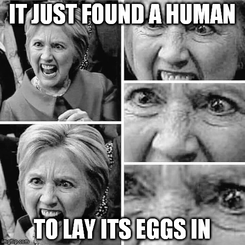 hillary clinton evil insane old hag | IT JUST FOUND A HUMAN; TO LAY ITS EGGS IN | image tagged in hillary clinton evil insane old hag | made w/ Imgflip meme maker