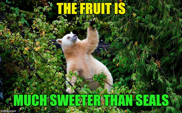 THE FRUIT IS MUCH SWEETER THAN SEALS | made w/ Imgflip meme maker