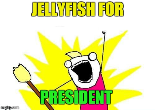 X All The Y Meme | JELLYFISH FOR PRESIDENT | image tagged in memes,x all the y | made w/ Imgflip meme maker