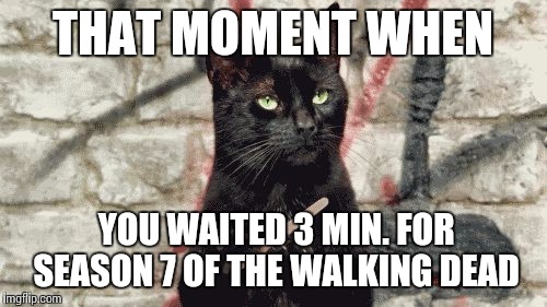 THAT MOMENT WHEN; YOU WAITED 3 MIN. FOR SEASON 7 OF THE WALKING DEAD | image tagged in that momen when your waiting 20 min for season 7 of walkin dead | made w/ Imgflip meme maker