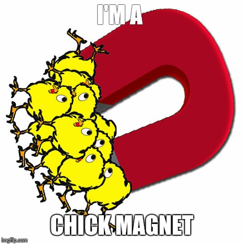 Yes I really am | I'M A; CHICK MAGNET | image tagged in chicks | made w/ Imgflip meme maker